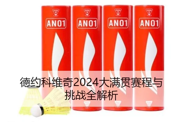 德约科维奇2024大满贯赛程与挑战全解析